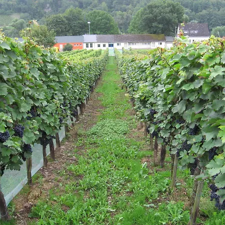 Weingut Day Pensionat *