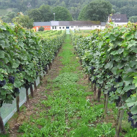 Weingut Day ゲストハウス 3*