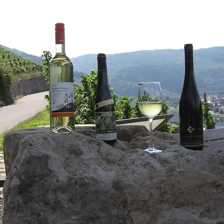 招待所 Weingut Day 3*