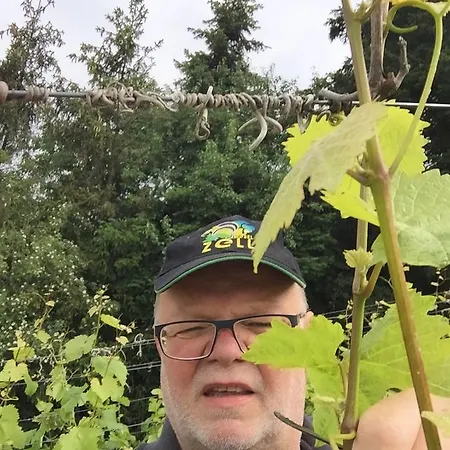 Pensionat Weingut Day