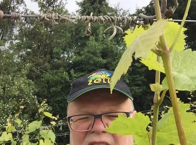 게스트하우스 Weingut Day